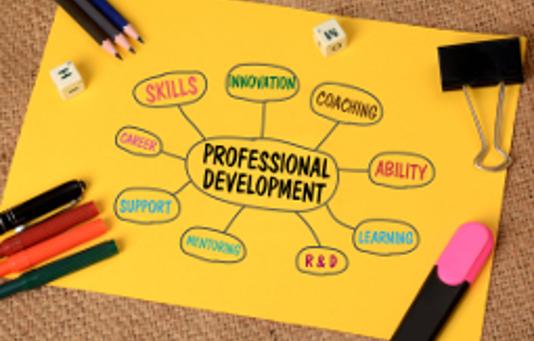 Strengthening public service through the Professional Development Program’s training and leadership.